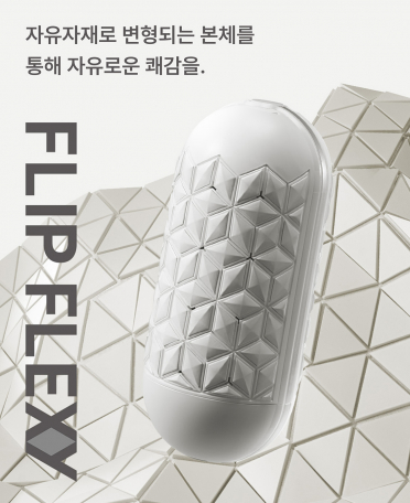 텐가 플립 플렉시